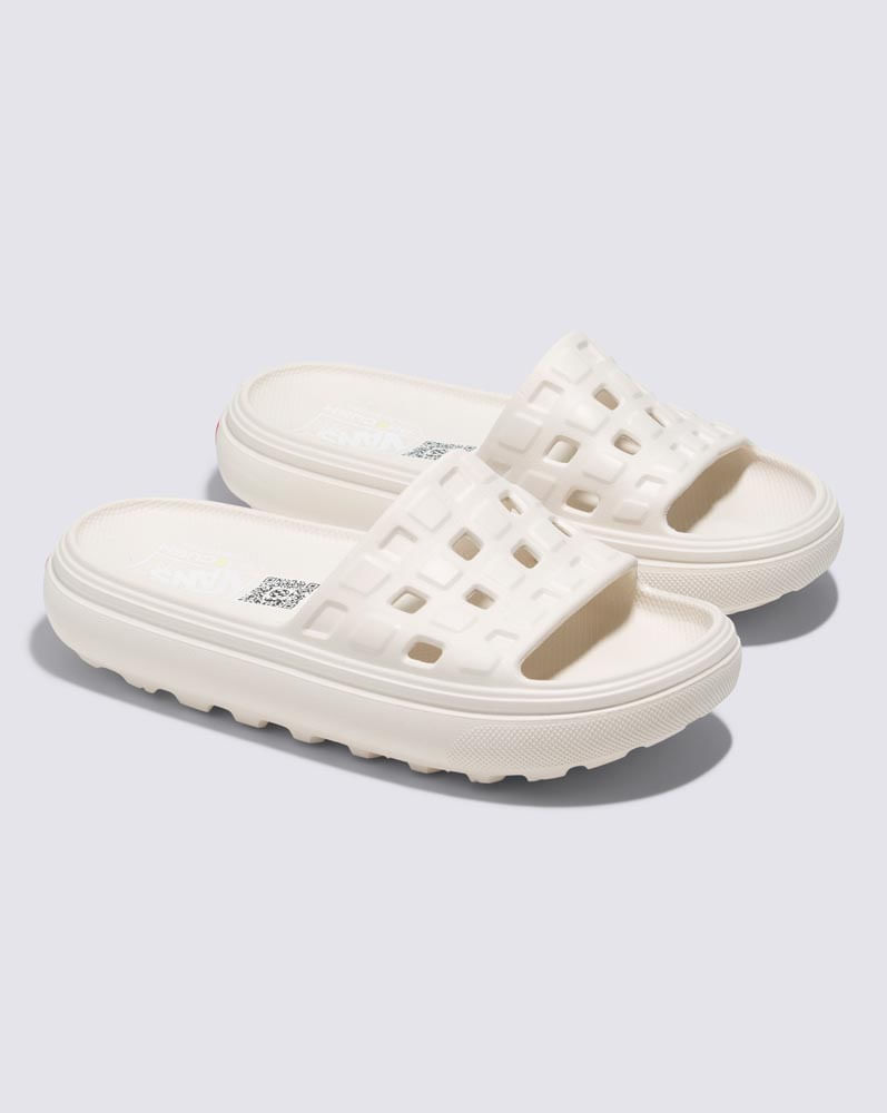 BCCFS8_1