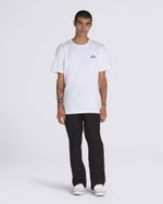 SYNWHT_2