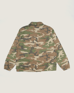 HMGLVB_1