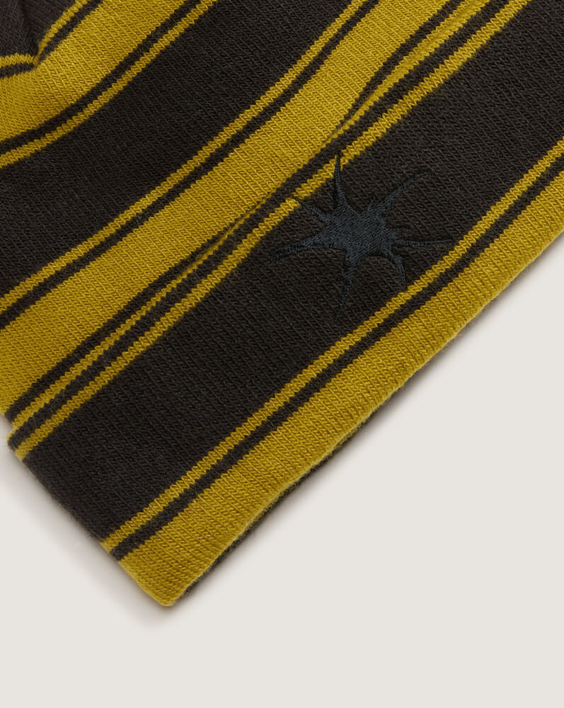 Beani Skate Blurry Stripe