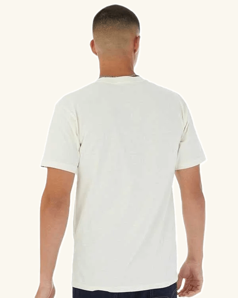 Playera crop Skate Splatter Web